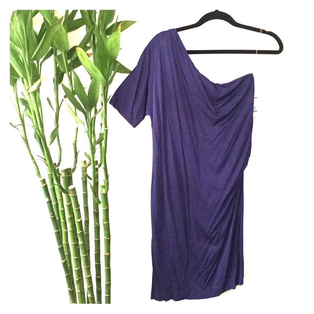 Rachel Roy 1Sleeve Knit Dress